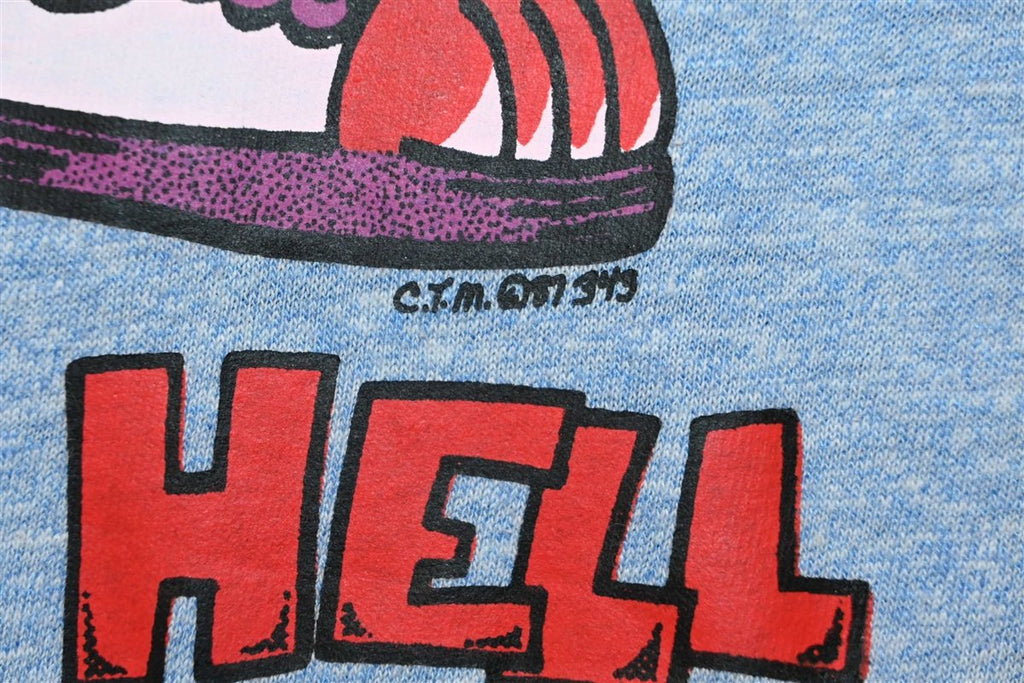 80s Raisin Hell in Florida Funny Blue Ringer t-shirt Large product image 3