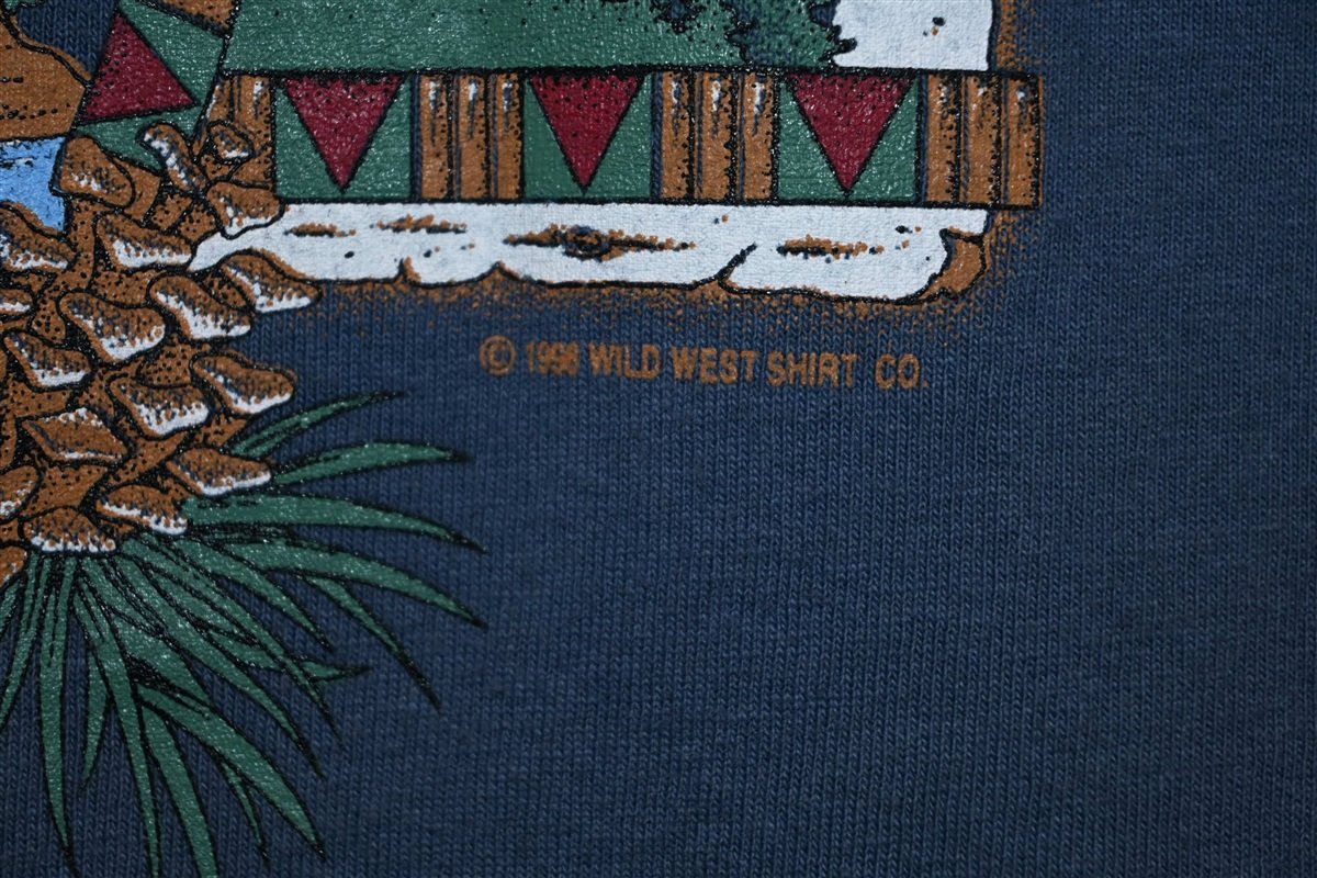 90s Montana Big Hole Valley River Mountains t-shirt Large product image 3