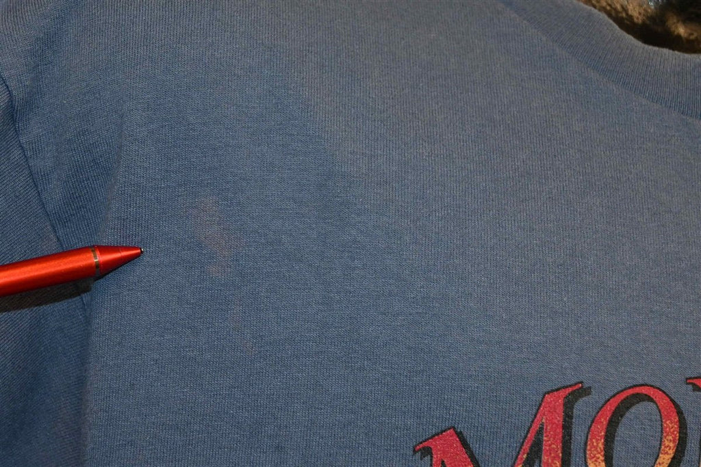 90s Montana Big Hole Valley River Mountains t-shirt Large product image 5