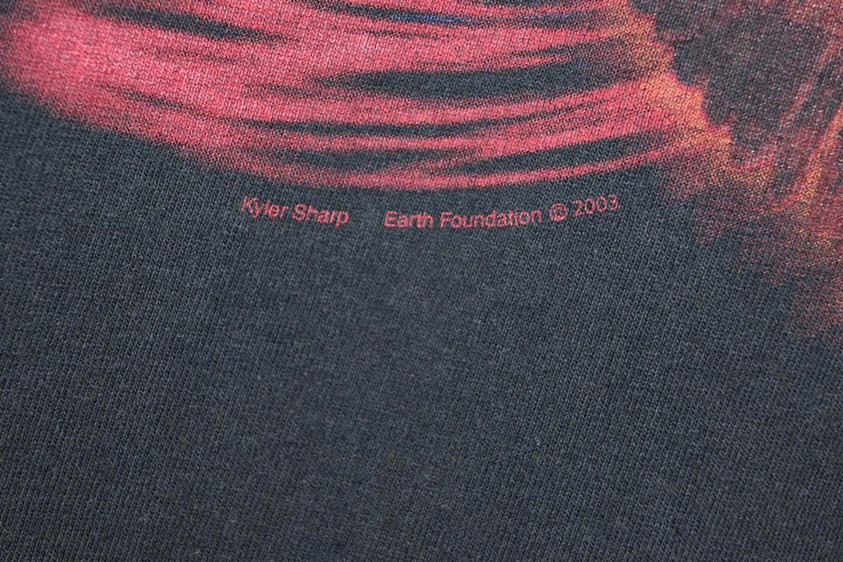 Y2K Wild & Free Bald Eagle Earth Foundation t-shirt Medium product image 4