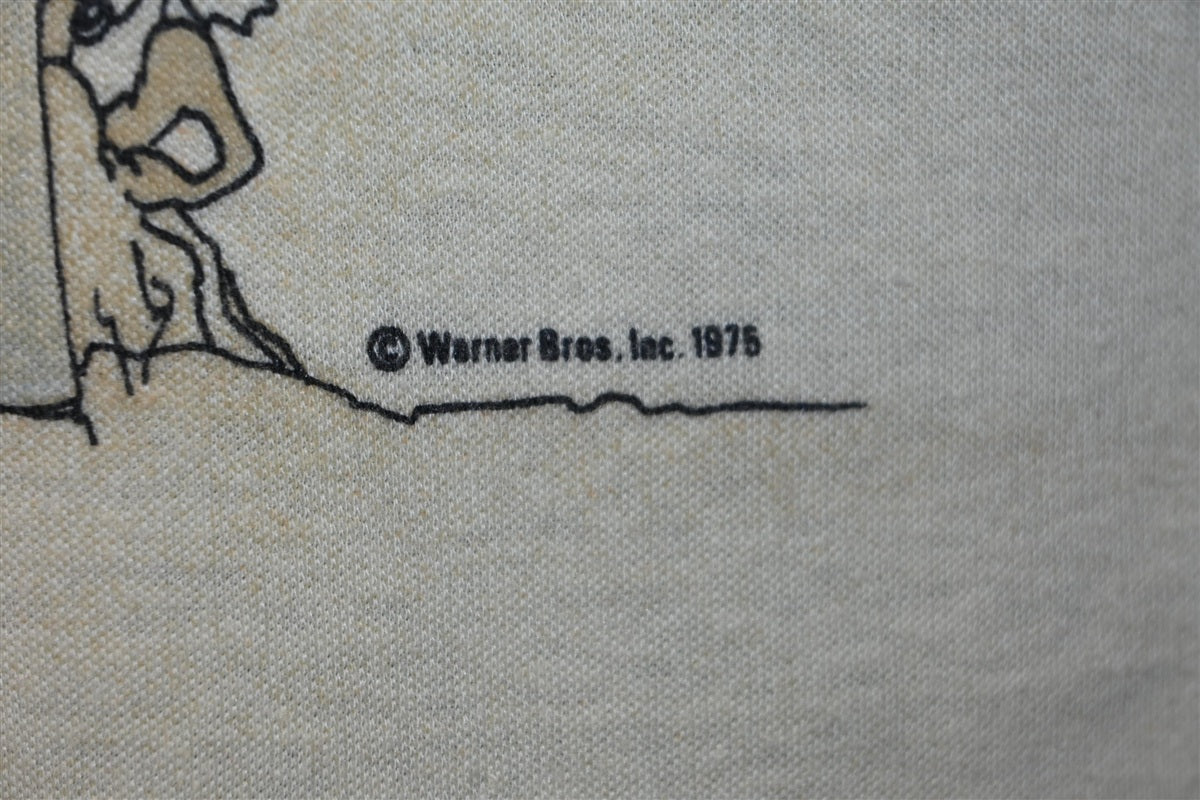 70s Wile E Coyote Road Runner Looney Tunes t-shirt Medium product image 3